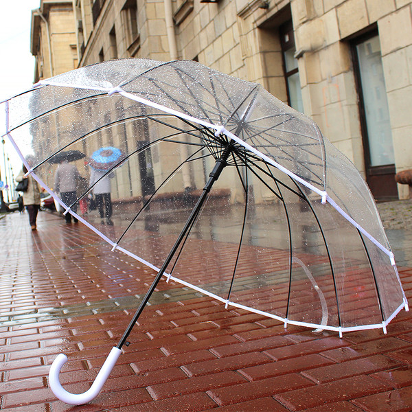 Прозрачный зонт с большим куполом